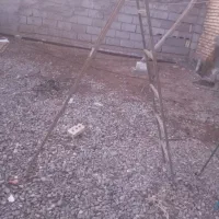 چهار پایه|صندلی و نیمکت|سراب, |دیوار