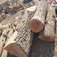 فروش چوب گردو|عمده‌فروشی|قم, شهر قائم|دیوار