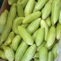 تل میانه
