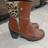 کفش|کیف، کفش، کمربند|محلات, |دیوار