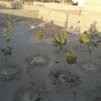 چهار دیواری باغ باغچه موقعیت برای سکونت|فروش دفتر صنعتی، کشاورزی، تجاری|کرج, فاز ۱ مهرشهر|دیوار