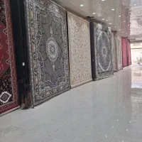 ۵۰۰تخته فرش(به مدت یک هفته)حراج