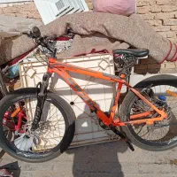 دوچرخه دندیی|دوچرخه، اسکیت، اسکوتر|سبزوار, قصبه شرقی|دیوار