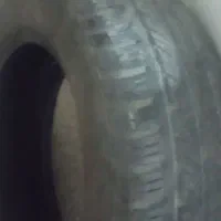 لاستیک ماشین