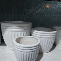 حراج گلدان سرامیکی با قیمت باورنکردنی۳۳و۶۶و۹۹ تومن|گل و گیاه طبیعی|زرقان, |دیوار