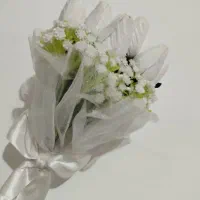 گل عروس