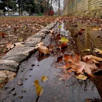 زمین-باقیمت-منصفانه