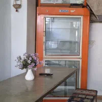 یخچال صنعتی دانفوس اصل