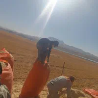 خریدوفروش علوفه