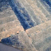 قالیچه نو فقط ۴تومن|فرش|کرمان, |دیوار