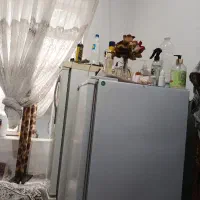 همخونه موجه تا ۲۵سال