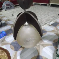 لوستر