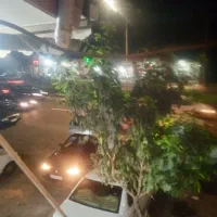 مغازه|اجارهٔ مغازه و غرفه|رشت, حومه رشت|دیوار