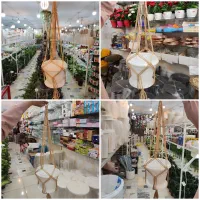 آویز گلدان نگهدارنده گلدان استند دیفن آگلونما پتوس