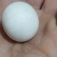 سنگ الماس اسیاب