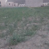 اجاره یک واحد مرغداری گوشتی ۳۰ هزار نیمه صنعتی