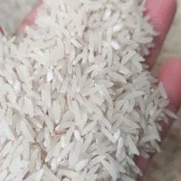 سوزنی 95روزه