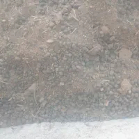 کودحیوانی خاک رس باغچه