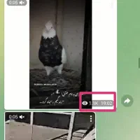 کانال روبیکا پر درامد  معاوضه با کانال اپارات و..|لوازم جانبی موبایل و تبلت|تهران, آرارات|دیوار