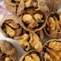 گردو درجه یک وشنوه|خوردنی و آشامیدنی|قم, انسجام|دیوار