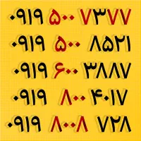 0919-8008-728