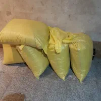 دان مرغ محلی