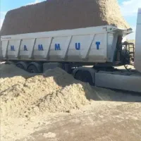 کاه نیشکر تازه