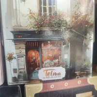 دستمال کاغذی ۲۰۰ برگ مکعبی خودرو تلما
