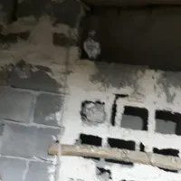 سلام چندعددکبوتر اشعل برای فروش