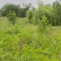 زمین-مسکونی-سراوان