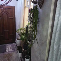 آشپزی و نظافت منزل