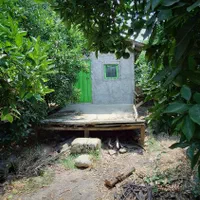 فروش زمین مسکونی به متراژ ۳۷۲ با درخت ۳۰ ساله|فروش زمین و ملک کلنگی|نوکنده, |دیوار