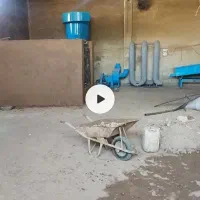 نیروی کار