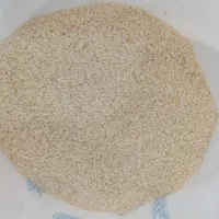 عنبربو|خوردنی و آشامیدنی|قم, هفت تیر|دیوار