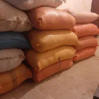 کاه عدس گندم زیر قیمت