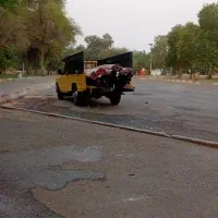 خدمات قالیشویی کل شوشتر