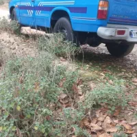 نیسان اپشنال ۴۰۳|خودرو سواری و وانت|گرگان, |دیوار