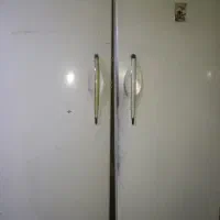 دوقلو یخساران سالم