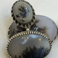 گردنی شجر ۴ ثانت و سه ثانتی