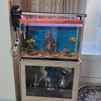 اکواریوم شیشه خم شرکتی