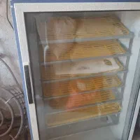 دستگاه جوجه کشی بلدرچین دماوند