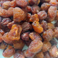 آلو بخارا درجه یک