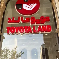 نیرو حرفه‌ای  پلیش کار