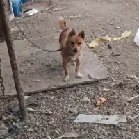 واگذاری فیندو نر