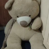 خرس و باکس