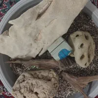 وسایل اکواریوم نصف قیمت