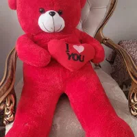 عروسک خرسی (شاسخین)