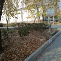 زمین-کشاورزی-همراه-دو-مجوز-دامداری-صنعتی