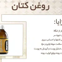 روغن گیاهی|فعالیت داوطلبانه|شیراز, شاهچراغ|دیوار