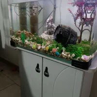 آکواریوم با تجهیزات بدون ماهی